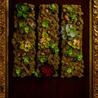 Verdant Luxe Succulent Moss Runner