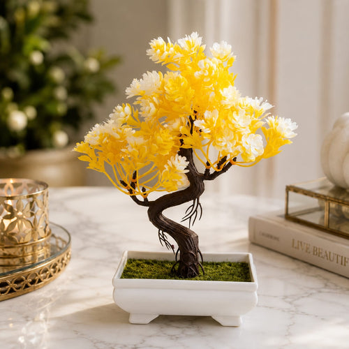 Golden Blossom Bonsai