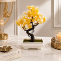 Golden Blossom Bonsai