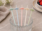 Blossom Reusable Fruit Picks Set