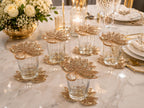 Kamal Noor Glass Cover